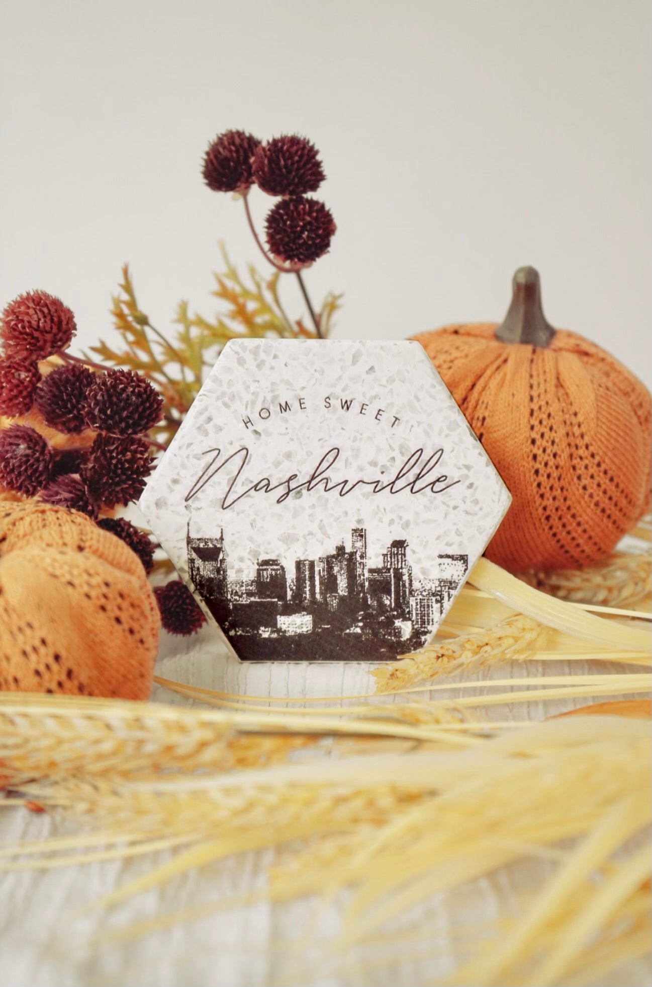 Nashville Skyline Coaster