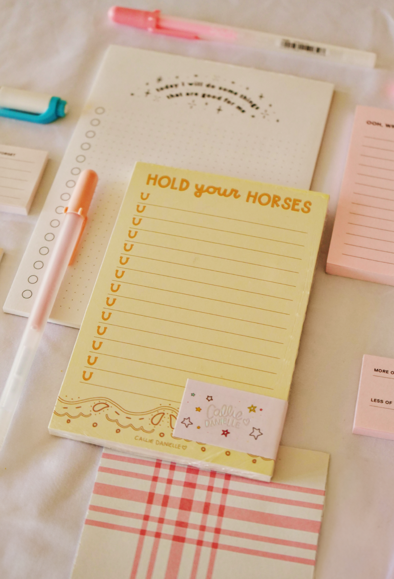 Hold Your Horses Southern Notepad