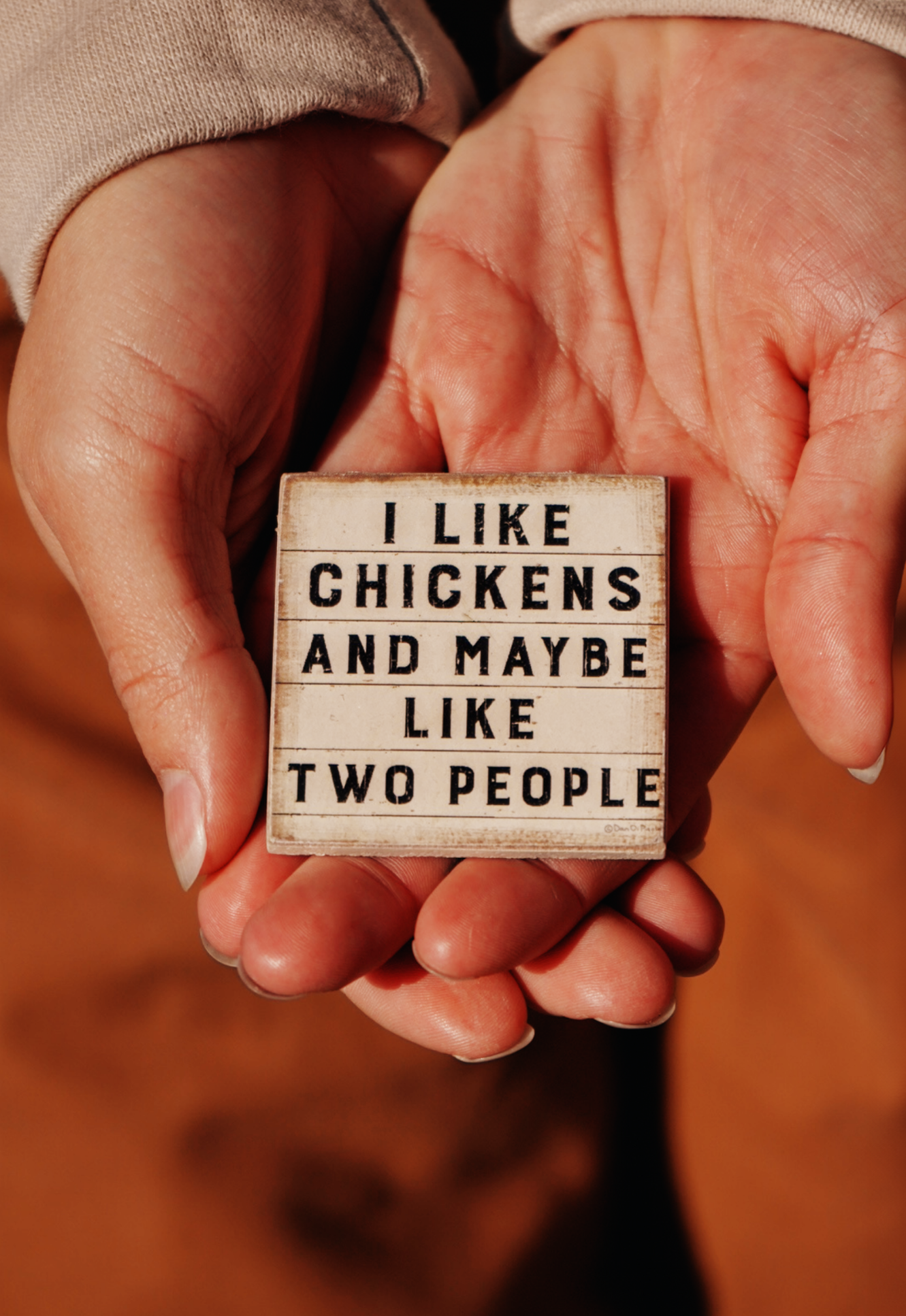 Rise & Shine Magnet Set