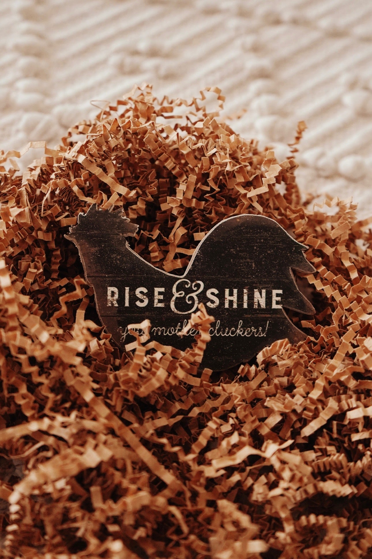 Rise & Shine Magnet Set