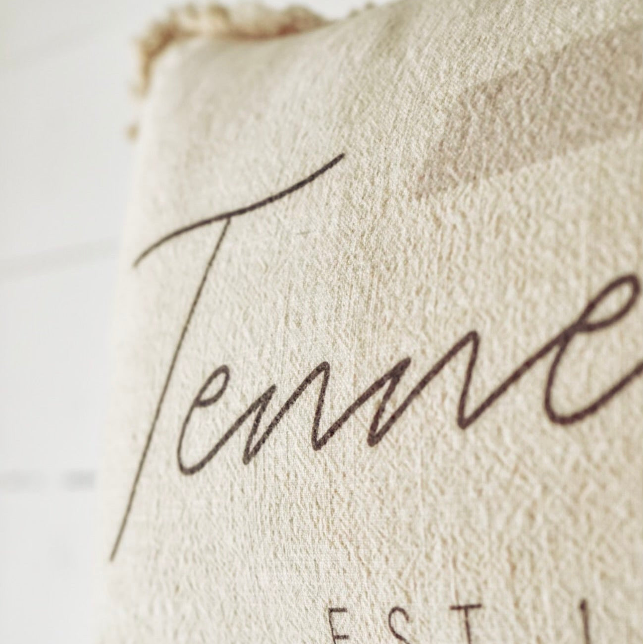 Tennessee Script Fringe Pillow