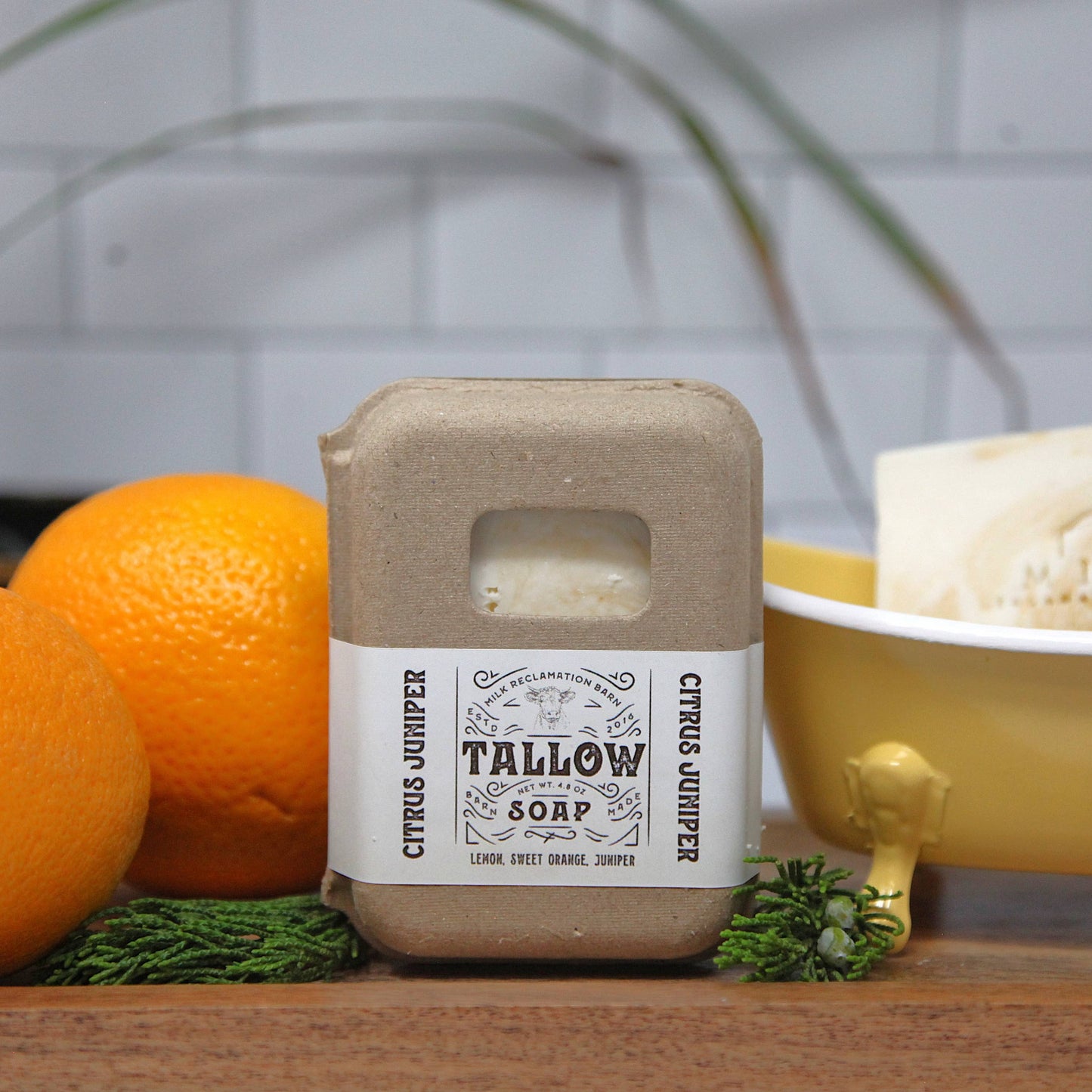 Tallow Soap [Citrus & Juniper]