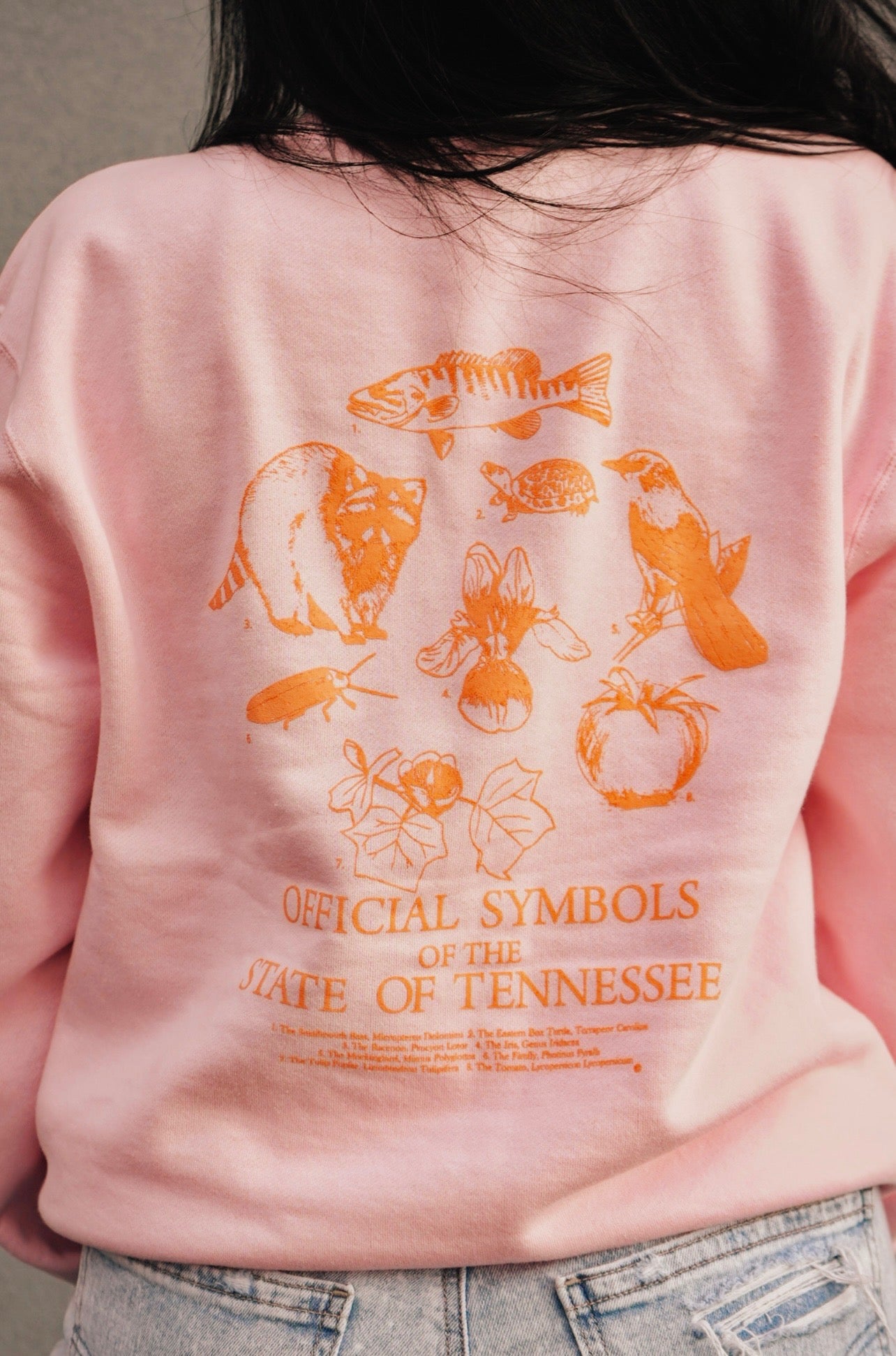 Tennessee Symbols Sweatshirt [Pink]