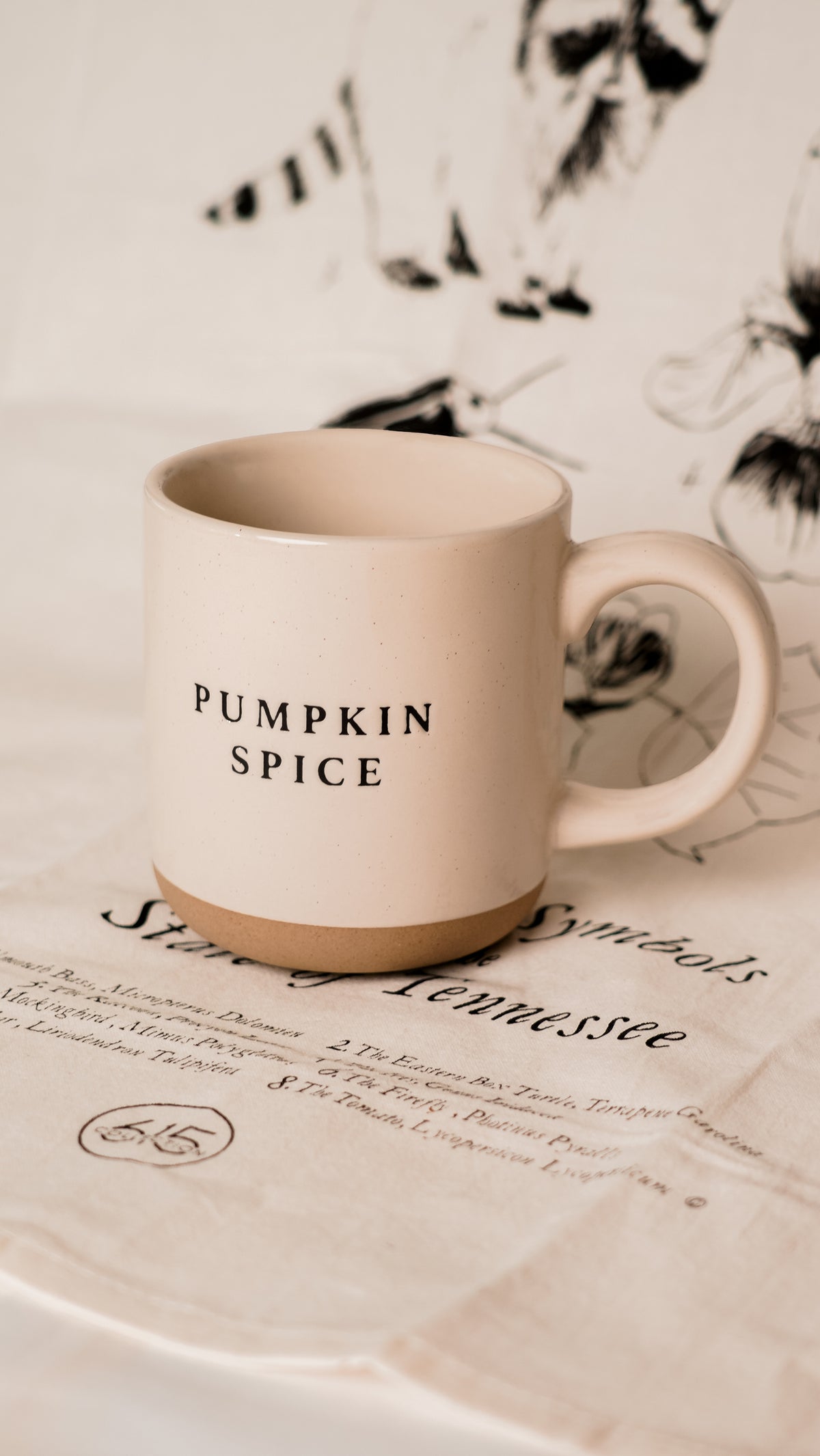 Pumpkin Spice Stoneware Mug [Cream]