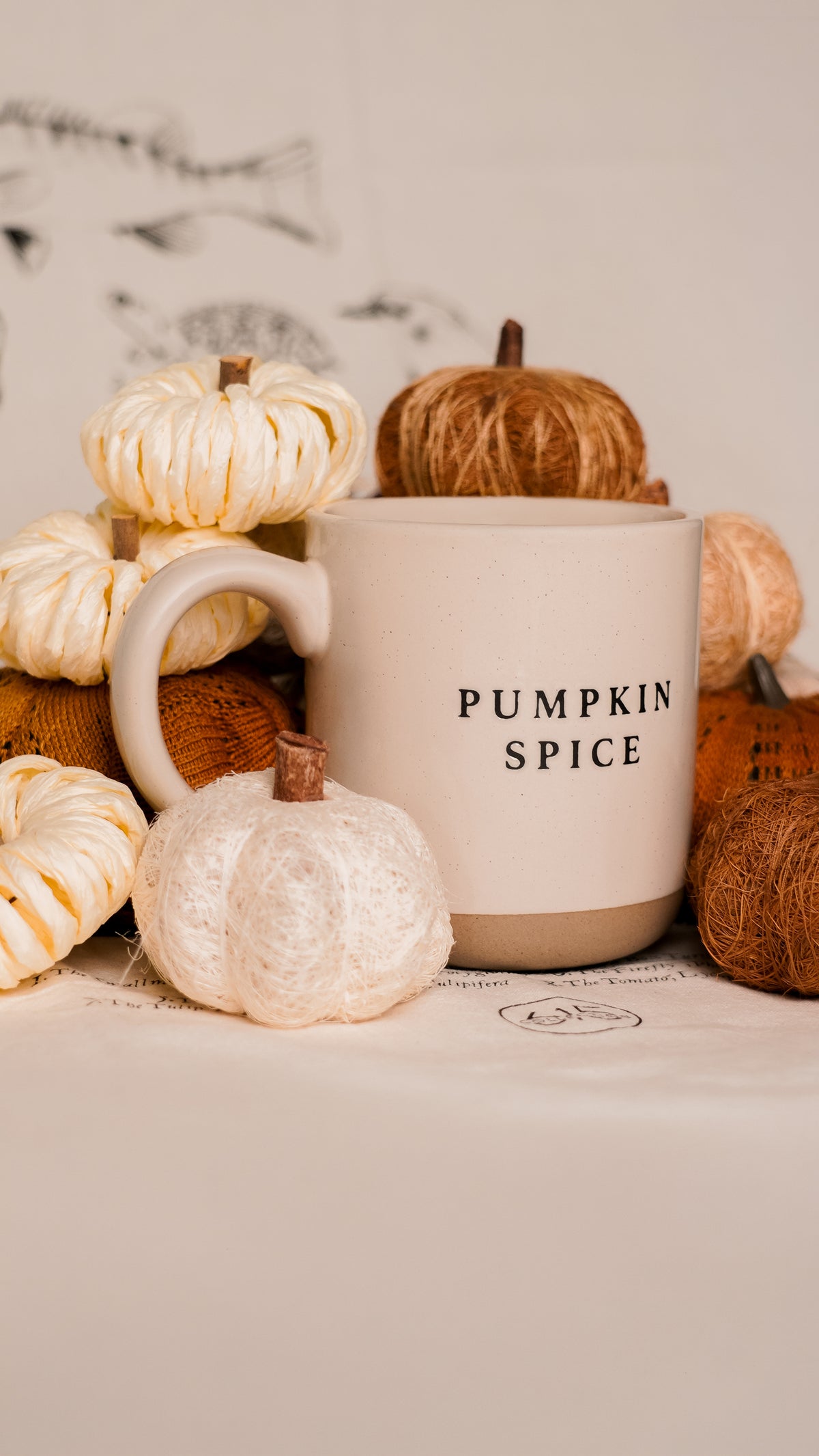Pumpkin Spice Stoneware Mug [Cream]