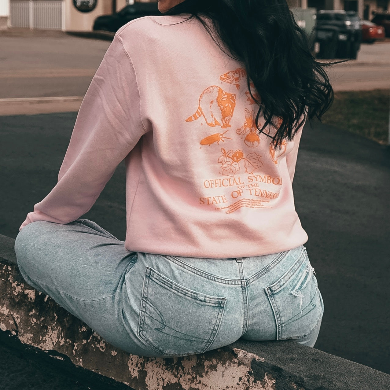 Tennessee Symbols Sweatshirt [Pink]