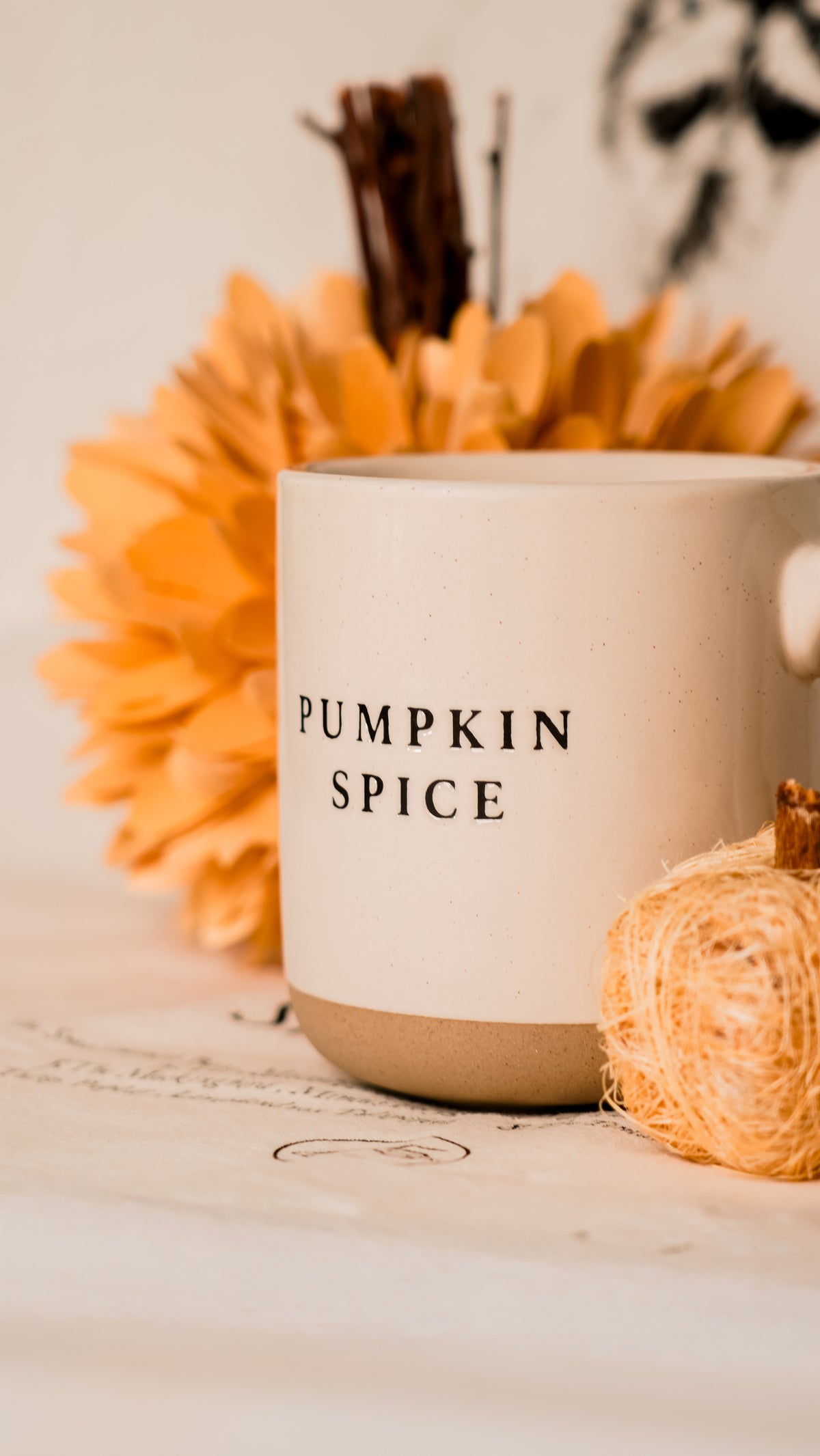 Pumpkin Spice Stoneware Mug [Cream]