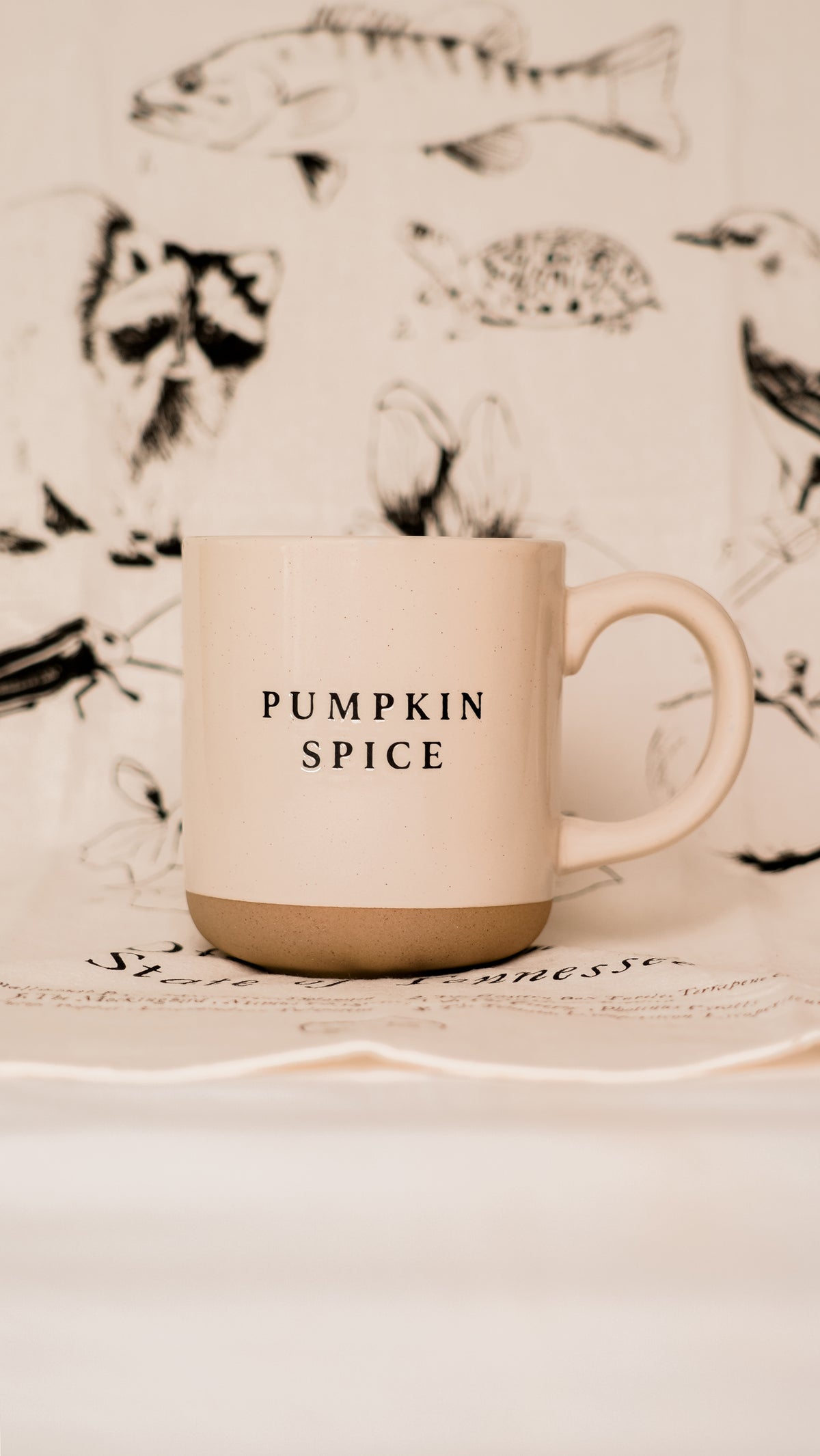 Pumpkin Spice Stoneware Mug [Cream]