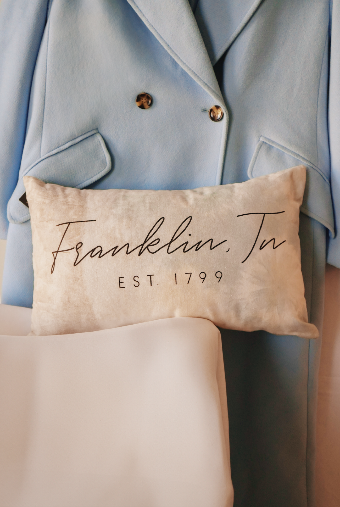 Franklin Naturally Dyed Canvas Pillow [Marigolds + Indigo]