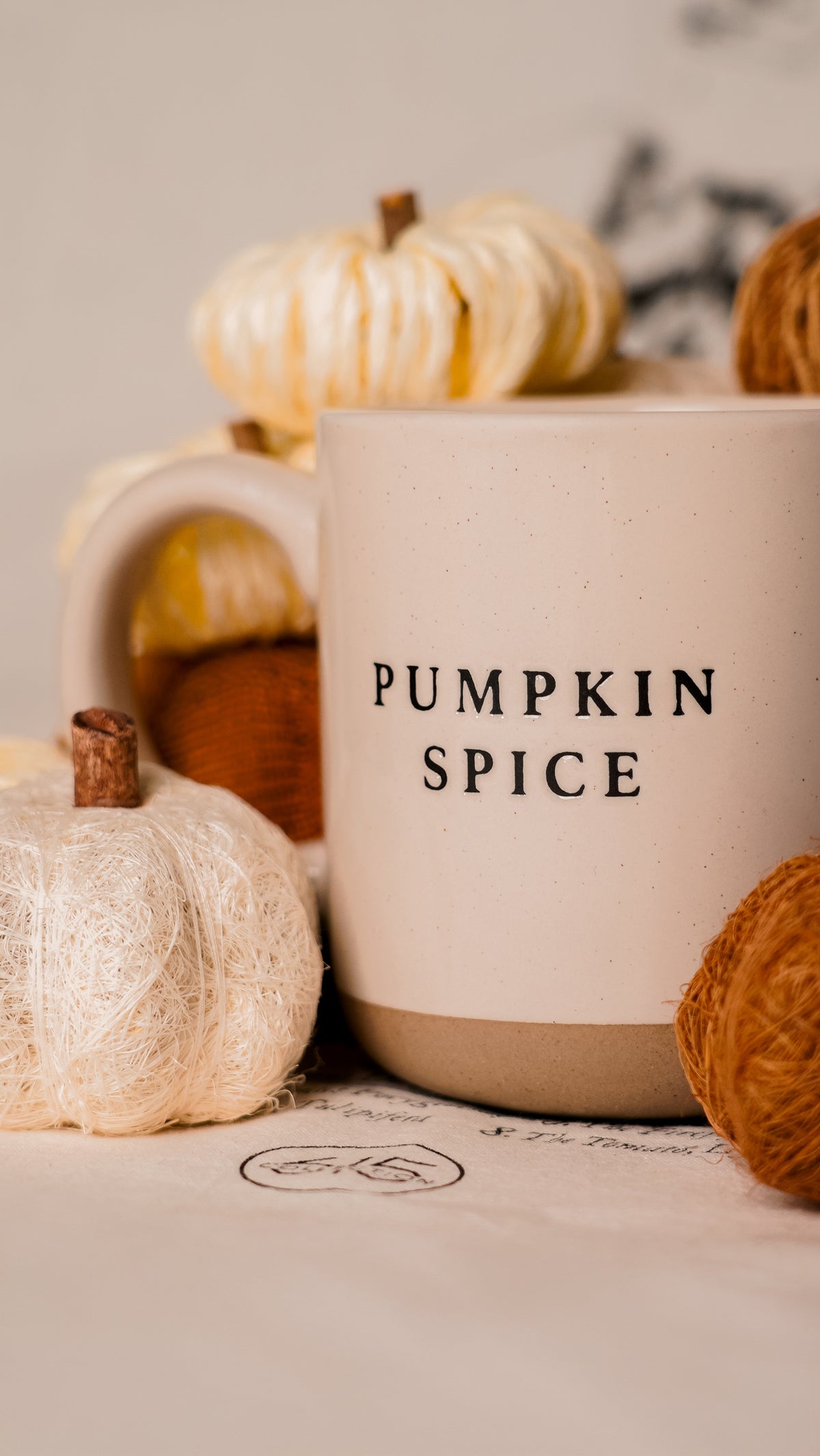 Pumpkin Spice Stoneware Mug [Cream]
