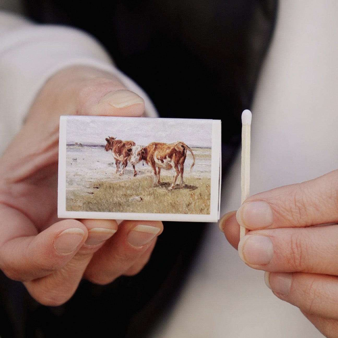 Country Cattle Vintage Match Box