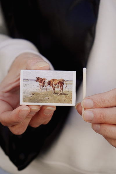 Match Box [Vintage Cattle]