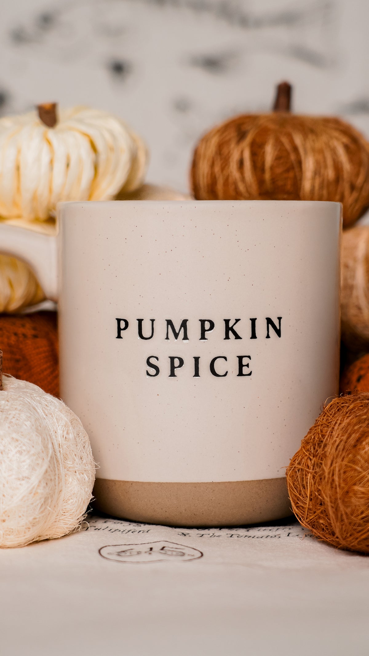 Pumpkin Spice Stoneware Mug [Cream]