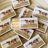 Match Box [Vintage Cattle]