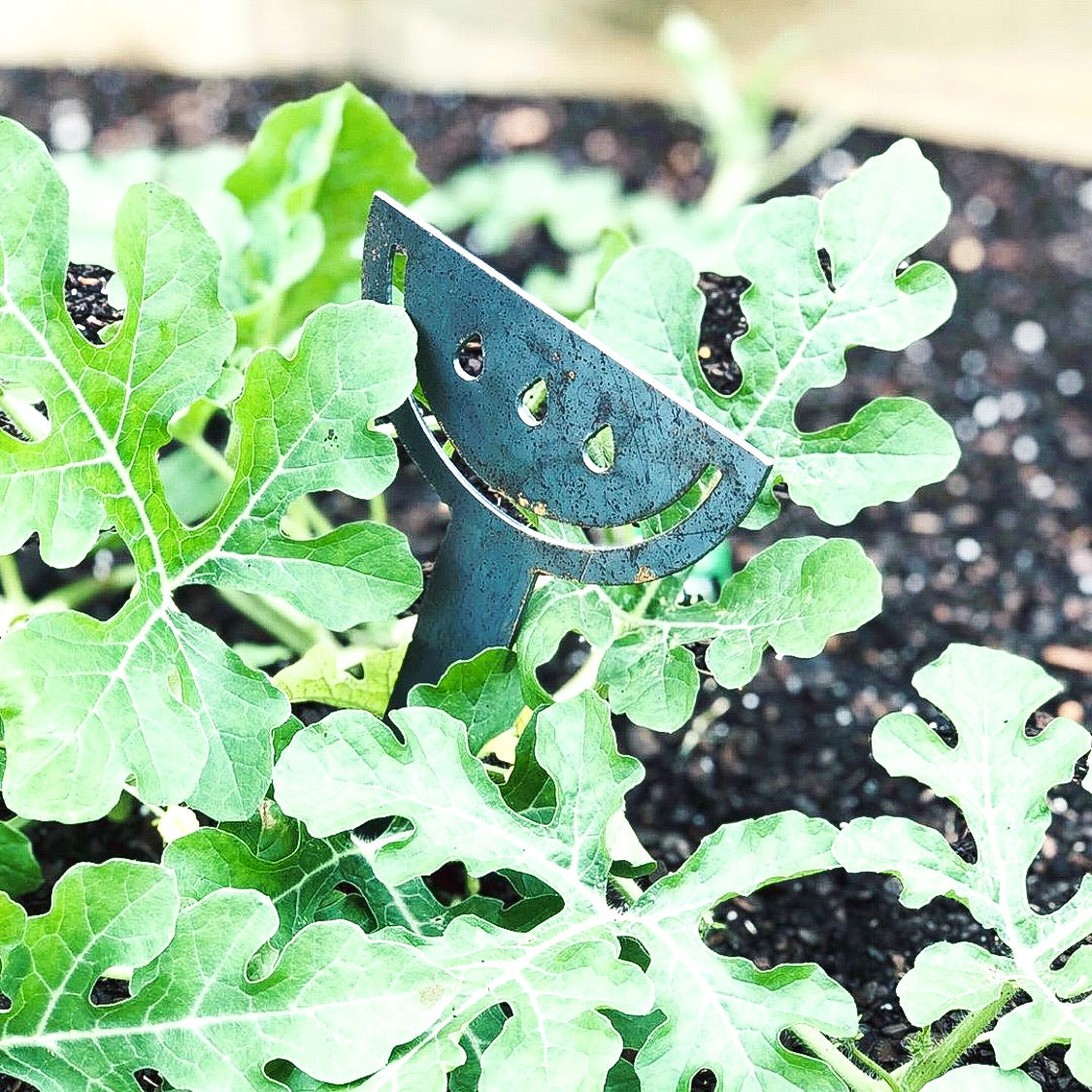 Fruit & Veg Metal Garden Markers